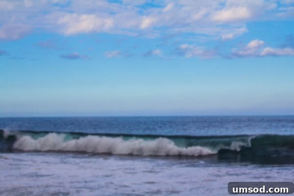 The Youngest Hawaiian Island 1 featured 1831