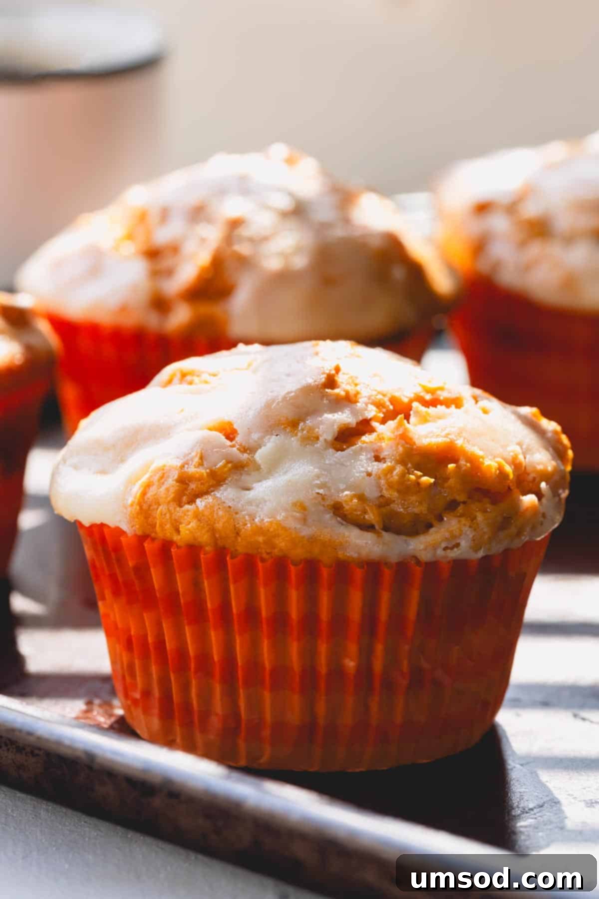 Spiced Pumpkin Cream Cheese Swirl Muffins 1 featured 22911
