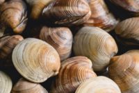 Prepping Little Neck Clams