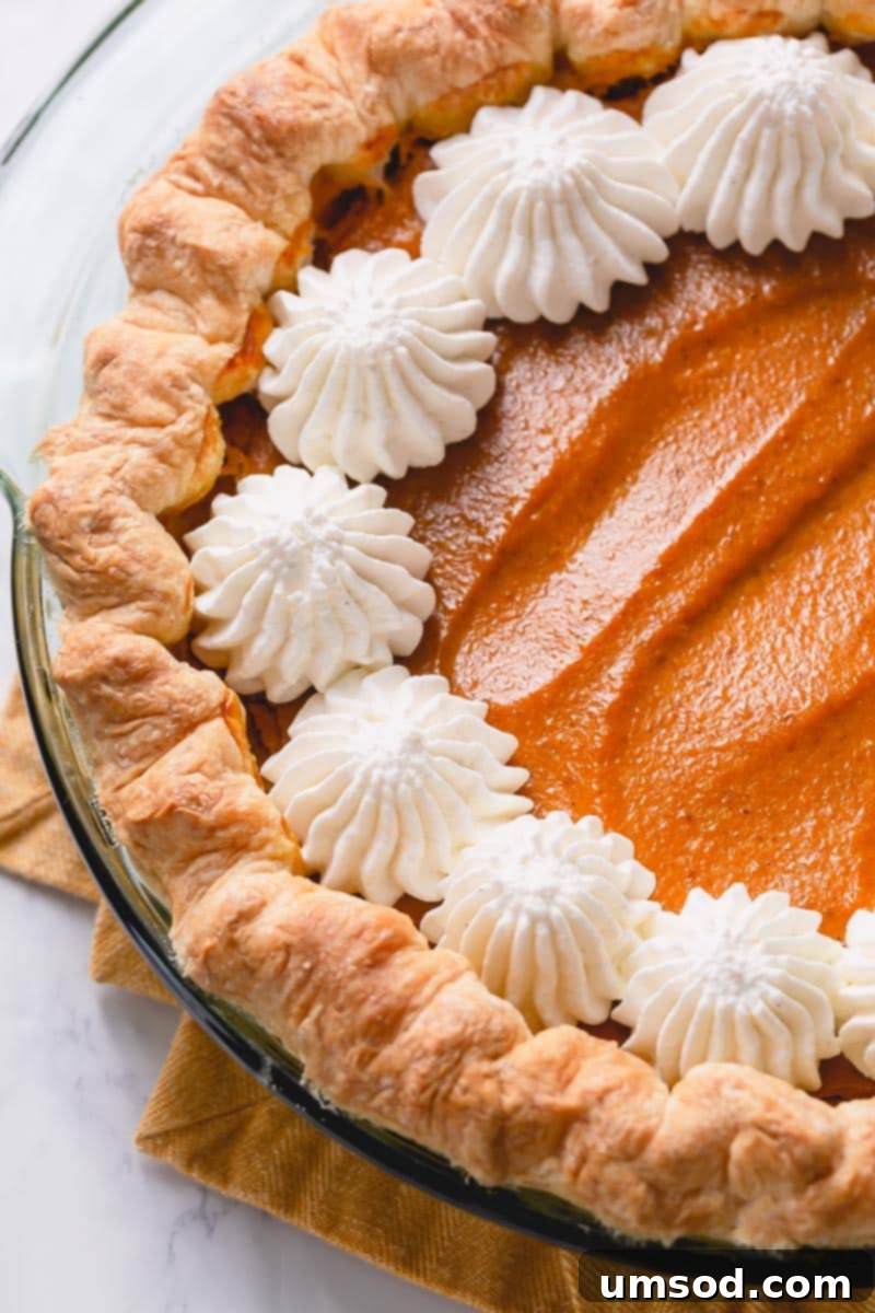 Foolproof Pumpkin Pie 1 featured 29909