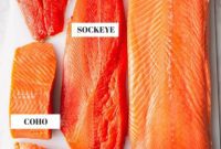 Beyond the Fillet A Deep Dive into Salmon Varieties