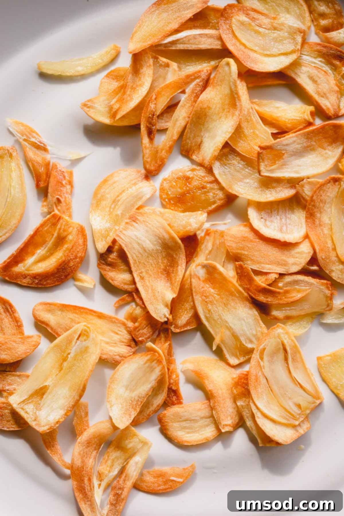 Easy Crispy Garlic Chips 1 featured 34994