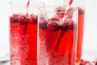 Sparkling Cranberry Ginger Refresher