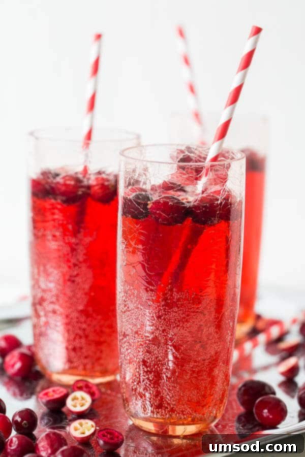 Sparkling Cranberry Ginger Refresher 1 featured 3940