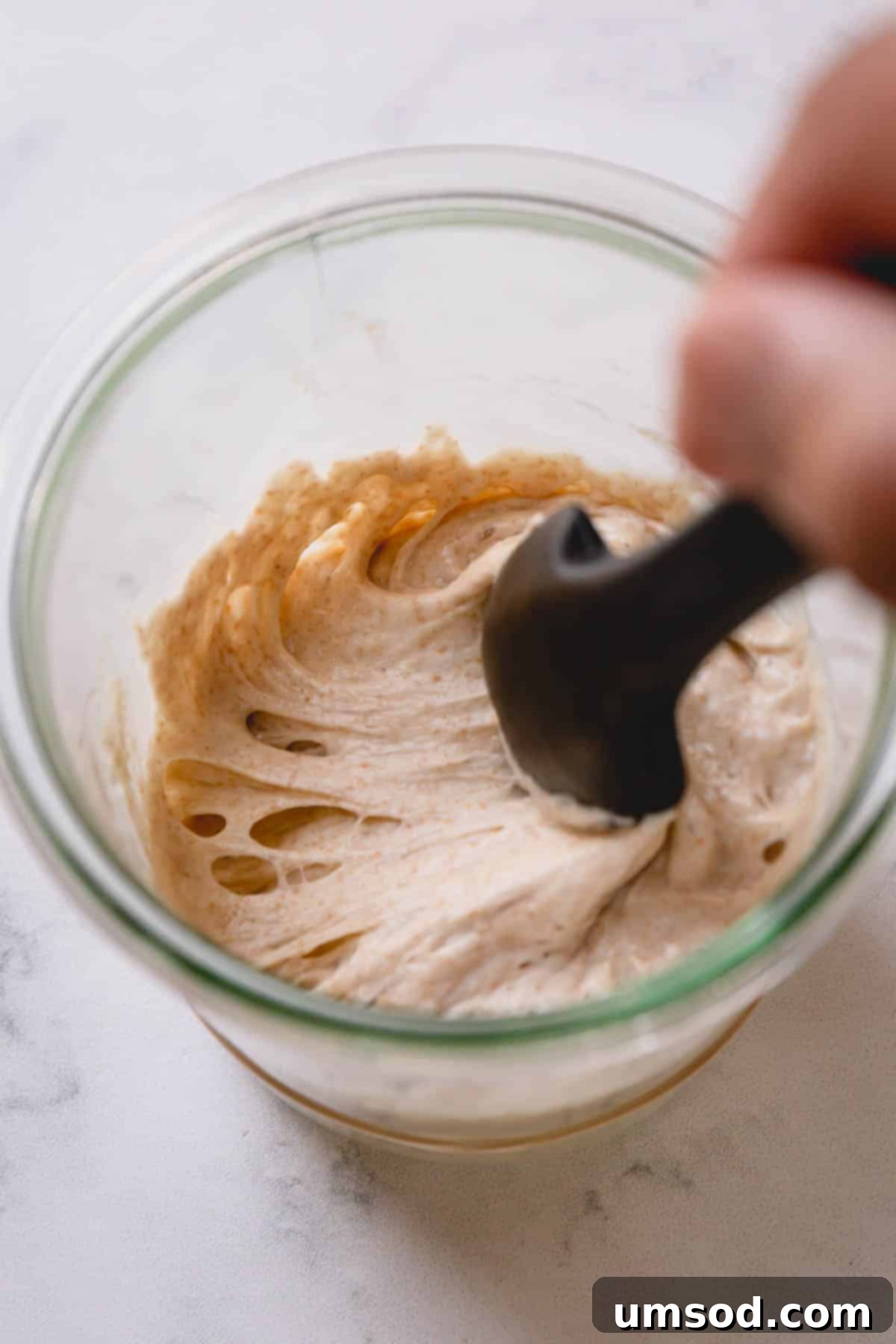 Zero-Waste Sourdough Starter Care 1 featured 41231