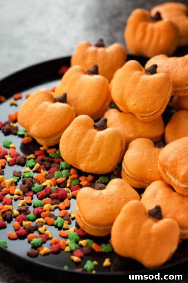 Harvest Pumpkin Macarons 1 featured 4132