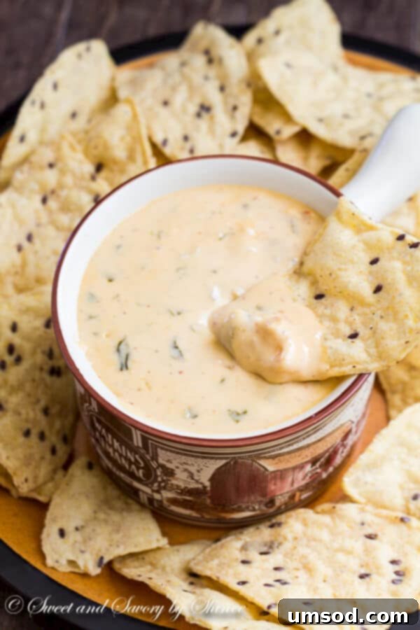 Sizzling Velvety Cheese Bliss 1 featured 4352