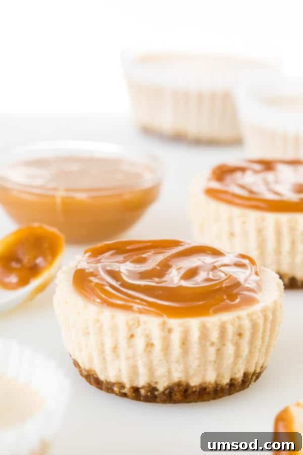 Effortless Chai Latte Cheesecake Bites 1 featured 4574