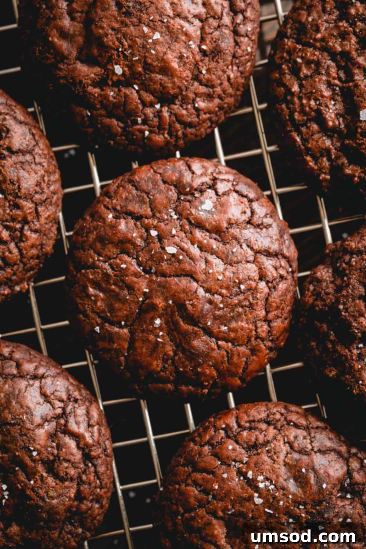 Simple Fudgy Brownie Cookies 1 featured 46463