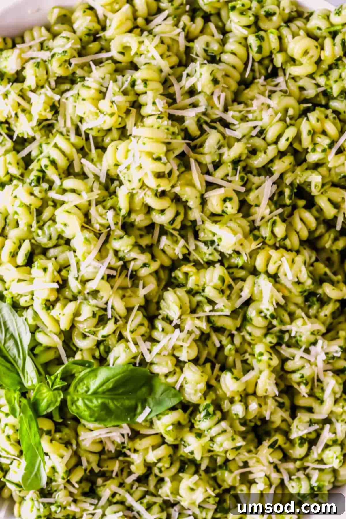 Vibrant Basil Pesto Pasta 1 featured 50084