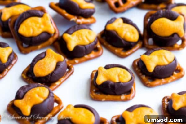 Choco-Goldfish Crunch 1 featured 5376