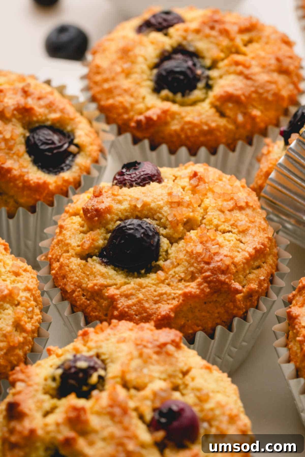 Tender Almond Flour Blueberry Muffins 1 featured 54277