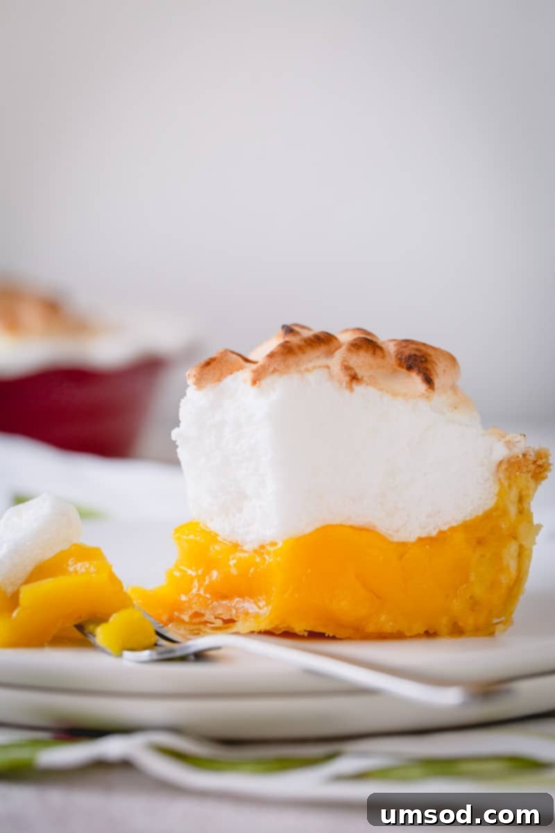 Zesty Lemon Cloud Pie 1 featured 69