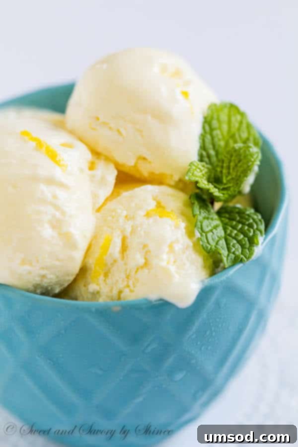 Sunshine Lemon Bliss 1 featured 7284