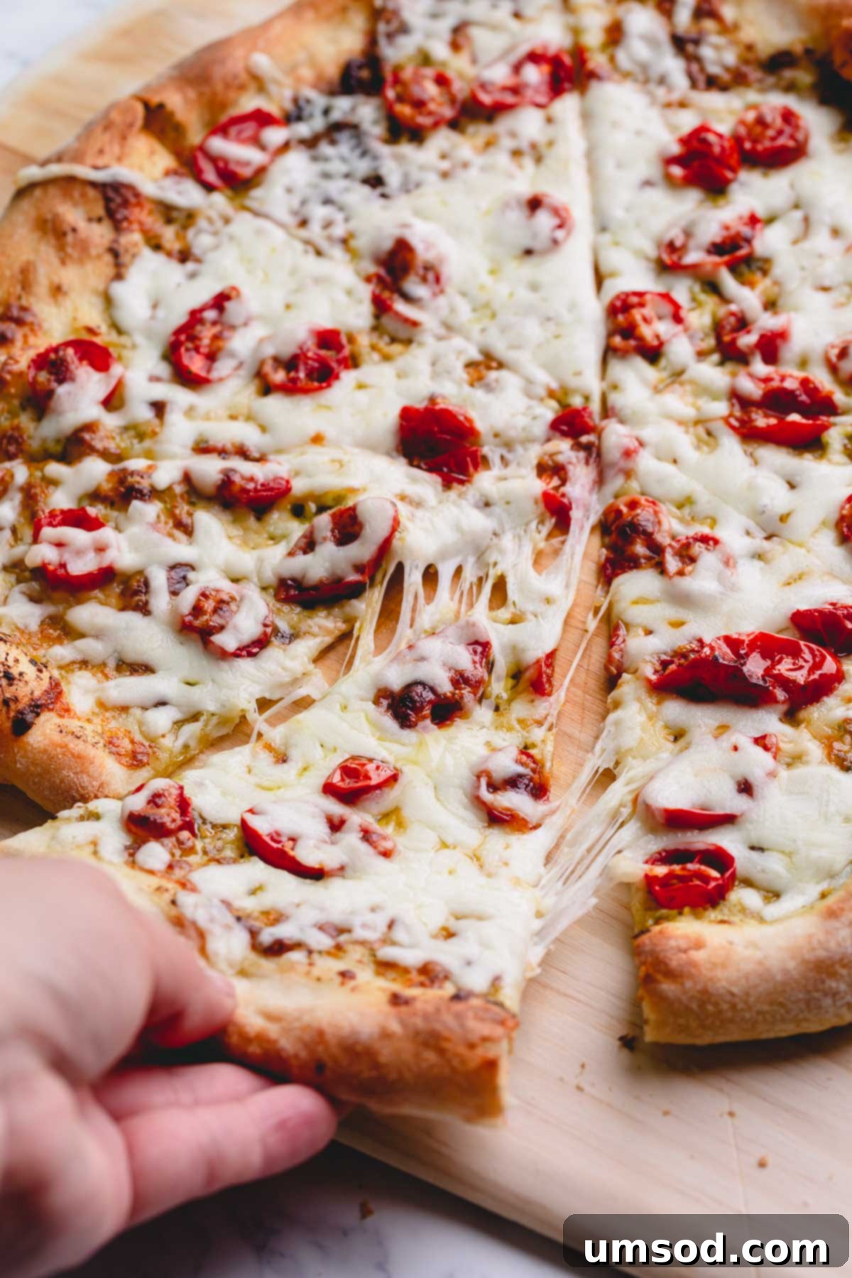 Slow-Roasted Tomato and Melted Cheese Pizza 1 featured 7315