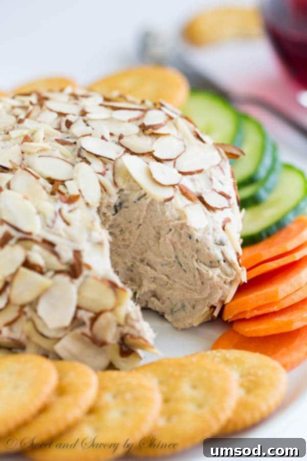 Creamy Salmon Cheese Balls 1 featured 7364