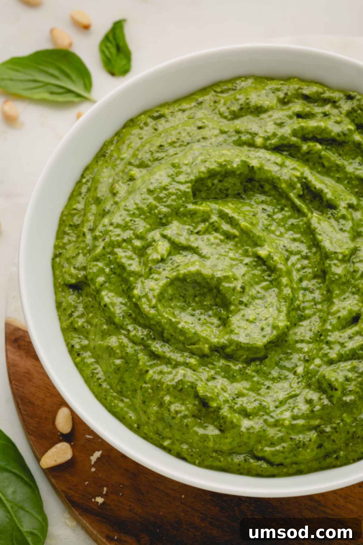 Big Batch Basil Pesto Recipe 1 featured 9842