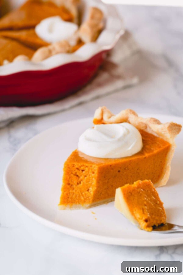 A slice of pumpkin pie with whipped cream and a small bite taken out.