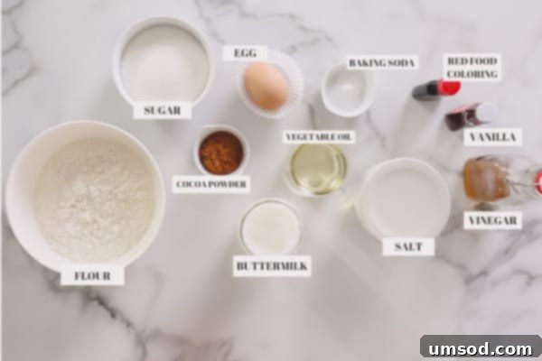 All the dry and wet ingredients for red velvet cupcakes laid out on a baking surface, including flour, sugar, cocoa, salt, egg, oil, buttermilk, and food coloring.