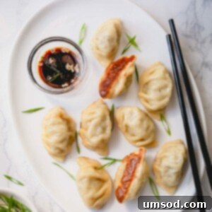 Delicious Beef Dumplings Recipe