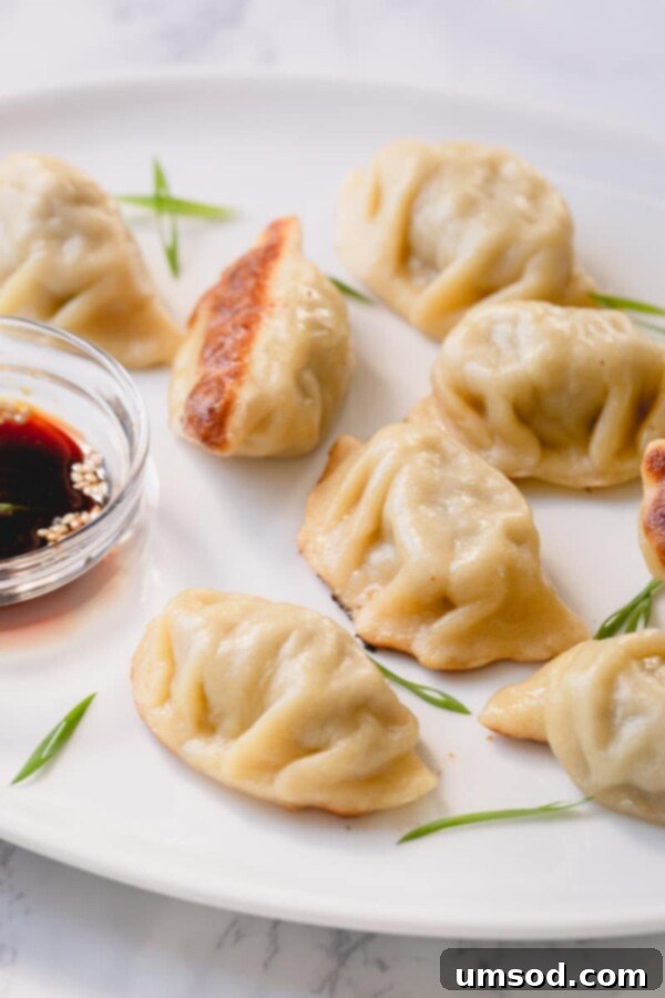 Assortment of different types of dumplings from various cuisines