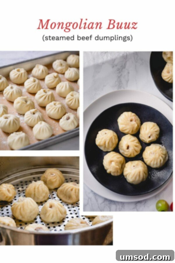 Rows of perfectly handmade dumplings on a tray