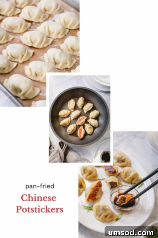 Various ingredients for beef dumplings laid out on a wooden surface