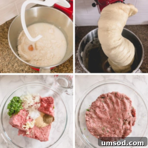 Beef dumpling filling being mixed in a bowl