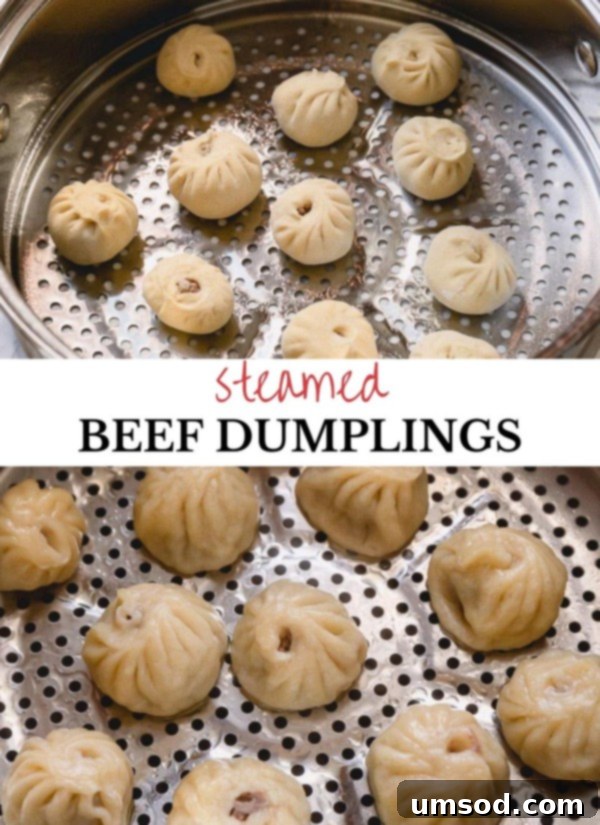 Steamed dumplings arranged inside a bamboo steamer basket