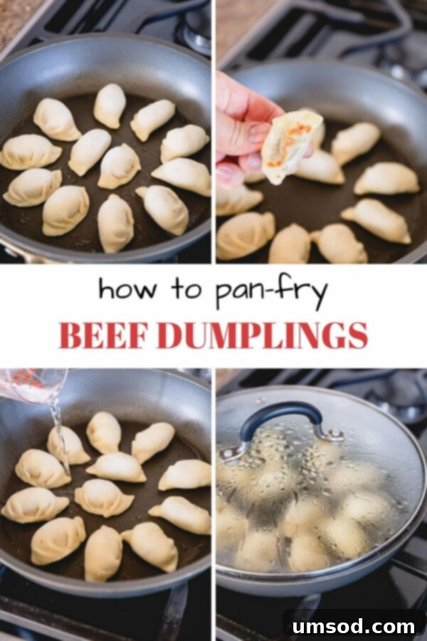 Pan-fried dumplings with a crispy bottom in a cast iron skillet