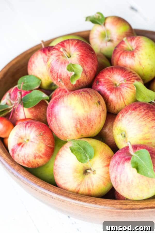 Close-up of baked apple strings, golden and crispy, ready to be enjoyed as a healthy snack.
