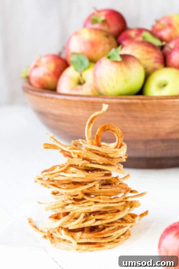 Baked apple strings piled high in a bowl, ready to be snacked on.