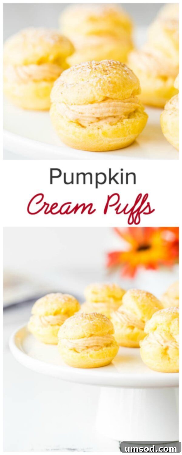 Move over pumpkin pie, pumpkin cream puffs are in town! Super light crust meets dreamy soft and smooth pumpkin filling, match made in the kitchen...