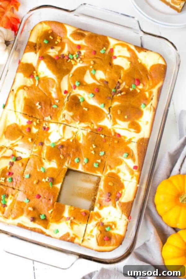 Pumpkin Cheesecake Bake 2 Lush Marbled Pumpkin Cheesecake Cake for Fall Gatherings