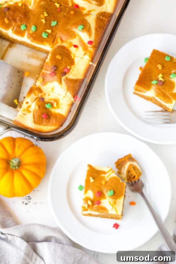 Pumpkin Cheesecake Bake 3 Creamy Pumpkin Cheesecake Swirl in a Moist Cake