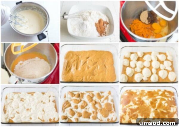 Pumpkin Cheesecake Bake 4 Step-by-step visual guide to making the Marbled Pumpkin Cheesecake Cake