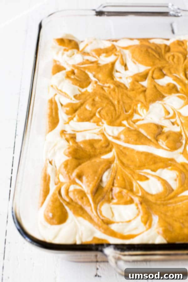 Pumpkin Cheesecake Bake 5 Close-up of a slice of pumpkin cheesecake cake showcasing the beautiful marble effect