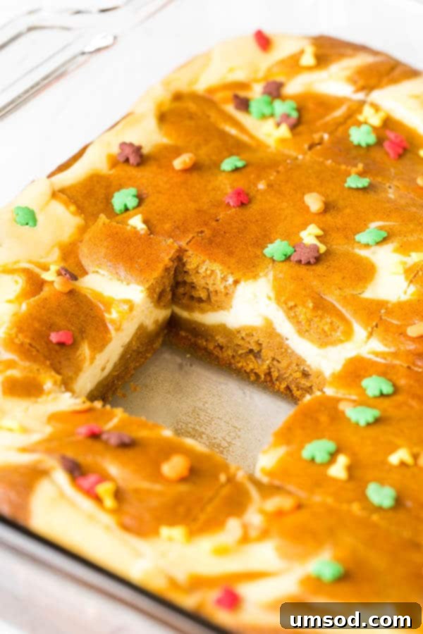 Pumpkin Cheesecake Bake 6 Delicious Marbled Pumpkin Cheesecake Cake ready to be served