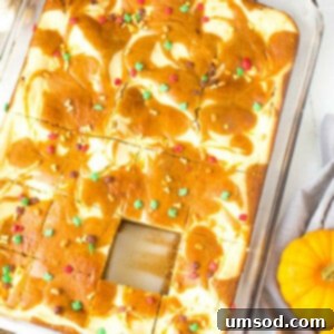 Pumpkin Cheesecake Bake 7 A beautifully baked Marbled Pumpkin Cheesecake Cake slice