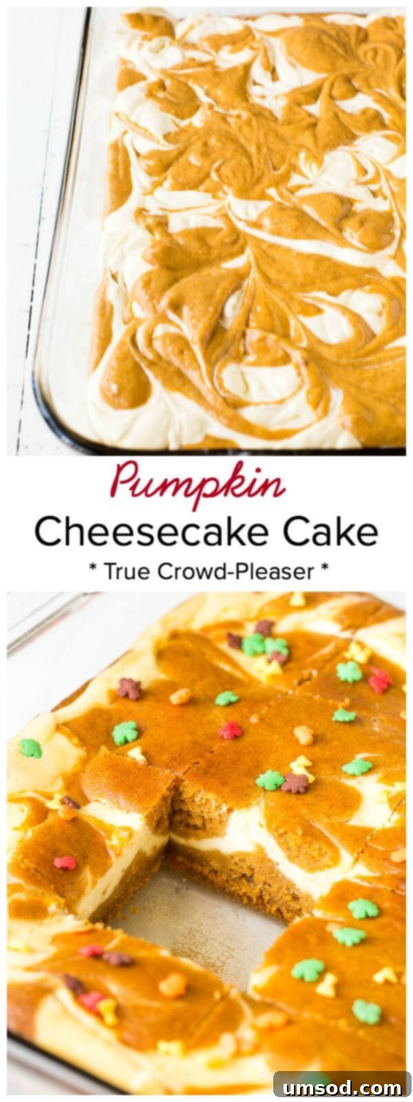 Pumpkin Cheesecake Bake 9 Close-up of a beautifully marbled pumpkin cheesecake cake slice