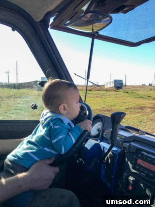 Baby Grant at 10 and 11 Months 3 Grant exploring outdoors on a sunny autumn day, surrounded by nature in North Dakota.
