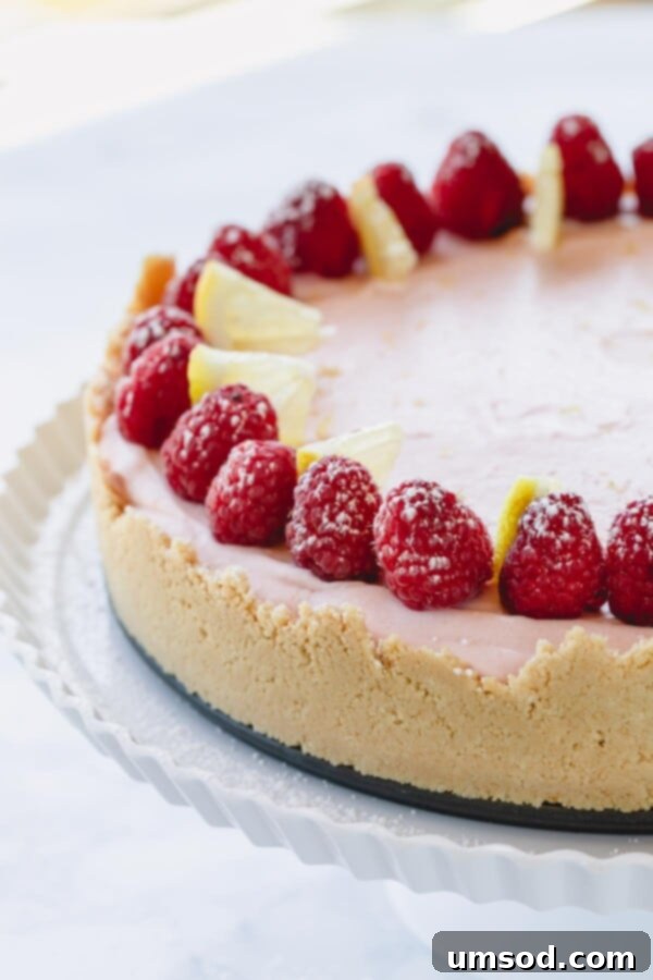 A whole lemon raspberry cheesecake topped with vibrant fresh raspberries on a pristine white serving platter, showcasing its irresistible appeal.
