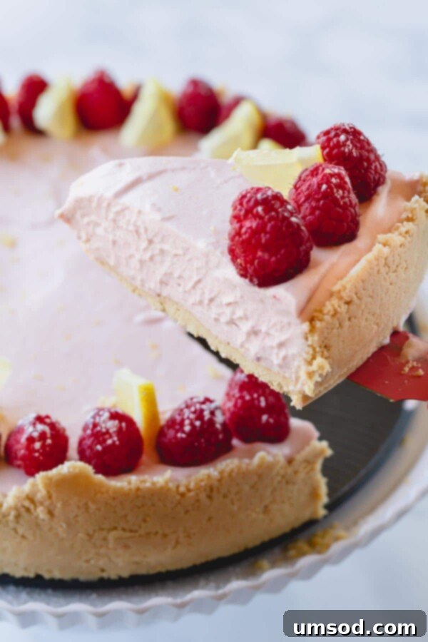 A perfectly sliced portion of lemon raspberry cheesecake, revealing its creamy layers and crumbly crust.