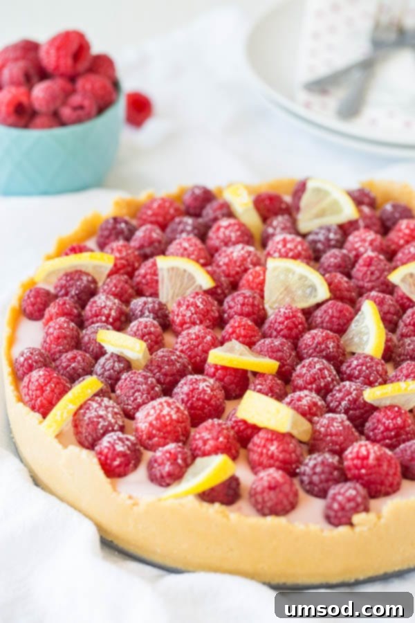 A stunning lemon raspberry no-bake cheesecake, garnished with fresh berries and lemon slices, presented on a white serving platter.