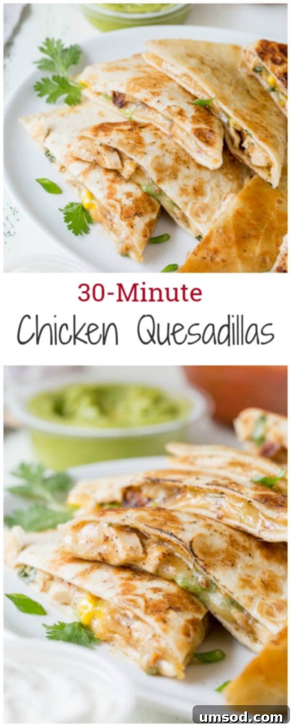 Effortless 30-Minute Cheesy Chicken Quesadillas 2 Delicious 30-minute cheesy chicken quesadillas piled high, ready to serve as a quick and easy weeknight meal.