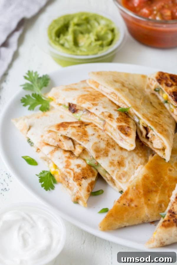 Effortless 30-Minute Cheesy Chicken Quesadillas 3 Two halves of a golden-brown cheesy chicken quesadilla on a plate, showcasing the melted cheese and chicken filling, with fresh cilantro.
