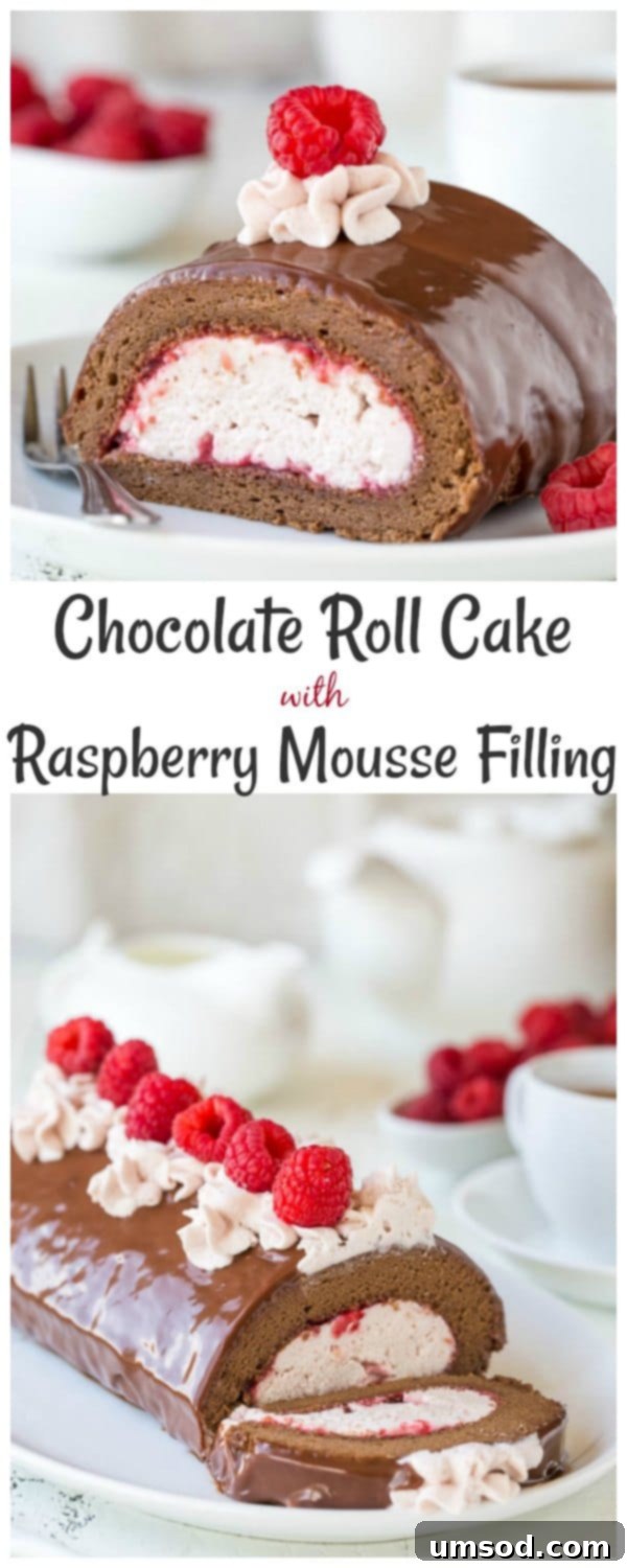 Close-up of a perfectly sliced chocolate roll cake, revealing layers of moist chocolate sponge and vibrant raspberry mousse filling, garnished with fresh raspberries