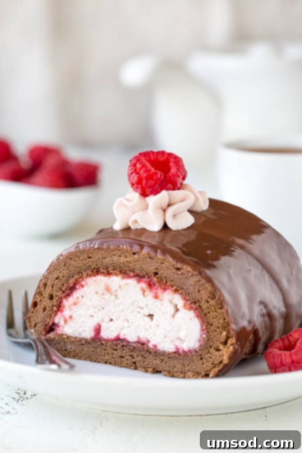 A beautifully decorated chocolate roll cake with raspberry mousse, garnished with fresh berries and chocolate ganache, ready to be sliced for guests