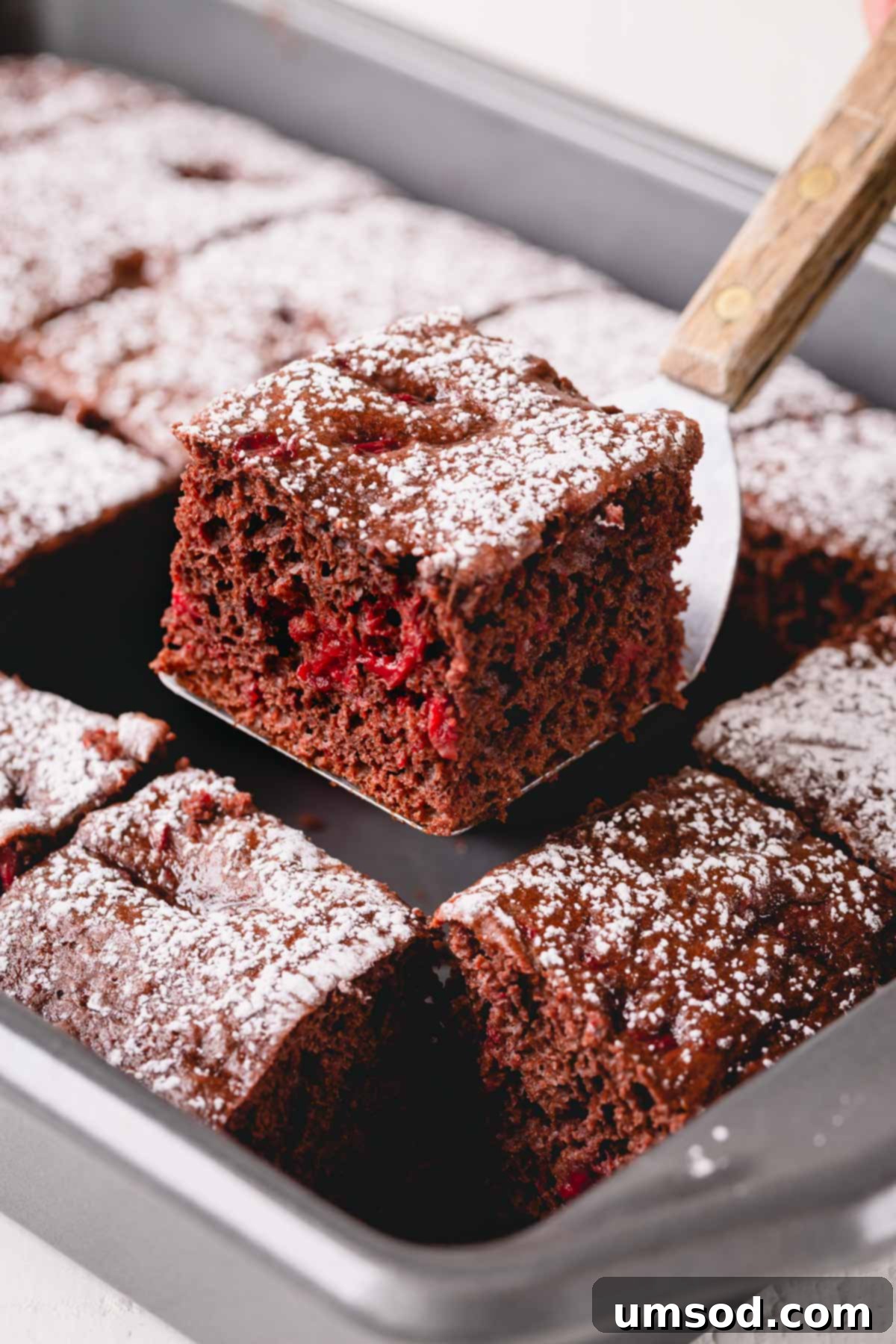 A baked 3-ingredient chocolate cherry cake rests in its 9x13 baking pan, with a single moist slice lifted out, showcasing its rich texture.