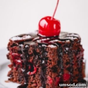 A vibrant and delicious slice of 3-ingredient chocolate cherry cake, adorned with chocolate fudge and a bright maraschino cherry.